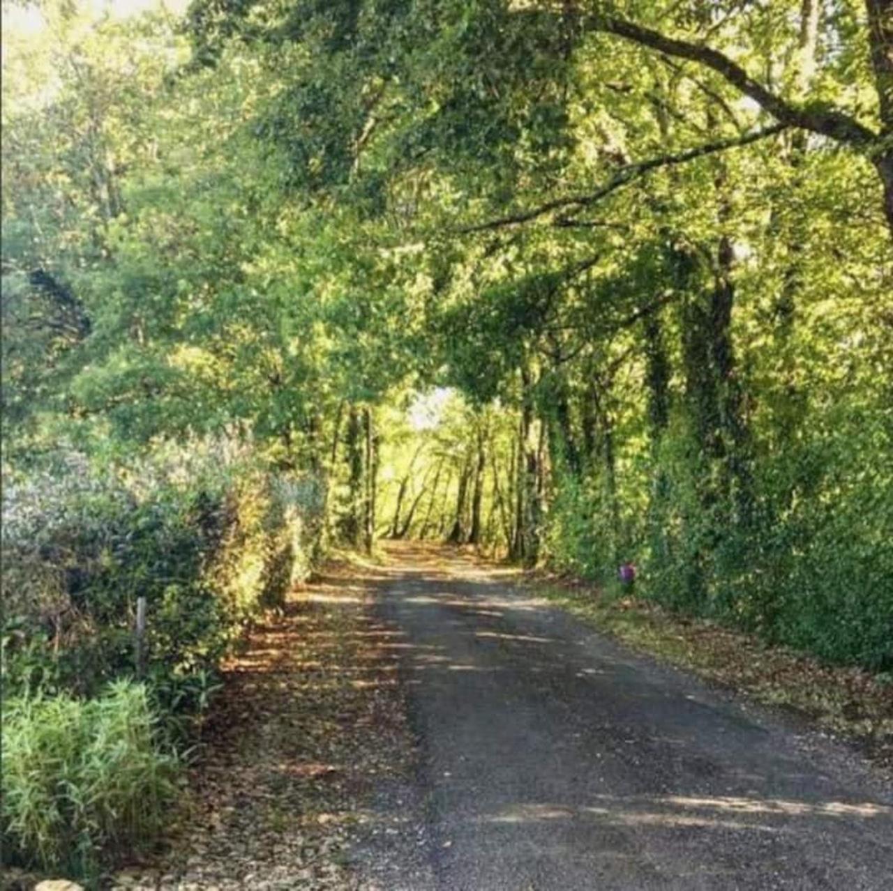 Chambre D'Hotes La Cavaille Veyrines-de-Vergt Exteriör bild